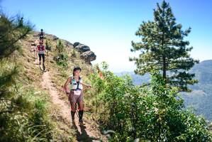 BIB: 
                            <button type="button" onclick="openModal(26606509)" class="btn btn-primary btn-sm float-right btn-popup" data-toggle="modal" data-target=".modal-high-quality">
                        <i class="fas fa-shopping-cart"></i> Add to Cart
                    </button>
                                            <button type="button" onclick="isThisMe(26606509, true)" class="btn btn-success btn-sm float-right btn-popup btn-isme hidden" data-toggle="tooltip" data-placement="bottom" title="นี่คือรูปของคุณใช่ไหม คลิกที่นี่เพื่อเอาเข้าอัลบั้ม">
                        <i class="fas fa-plus"></i> Add to album
                    </button>
                    <button type="button" onclick="isThisMe(26606509, false)" class="btn btn-warning btn-sm float-right btn-popup btn-isnotme hidden">
                        <i class="fas fa-ban"></i> Remove from album
                    </button>